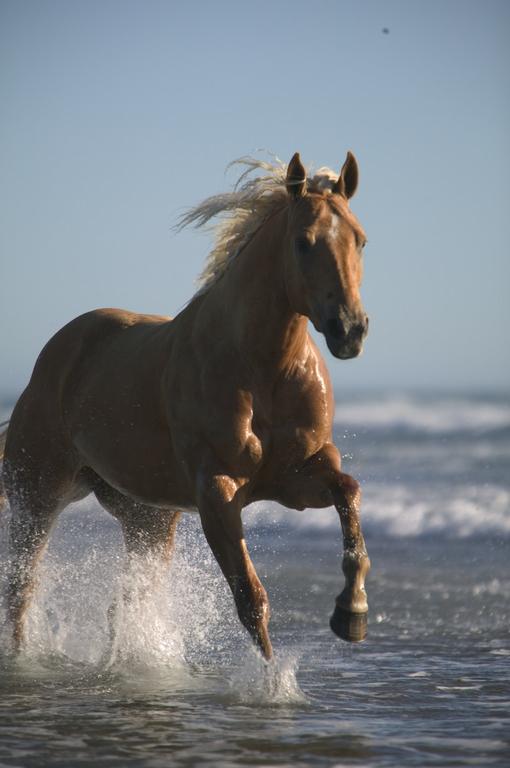 Don't You Want To Be Free Like This
